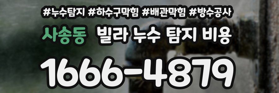 사송동 빌라 누수 탐지 비용
