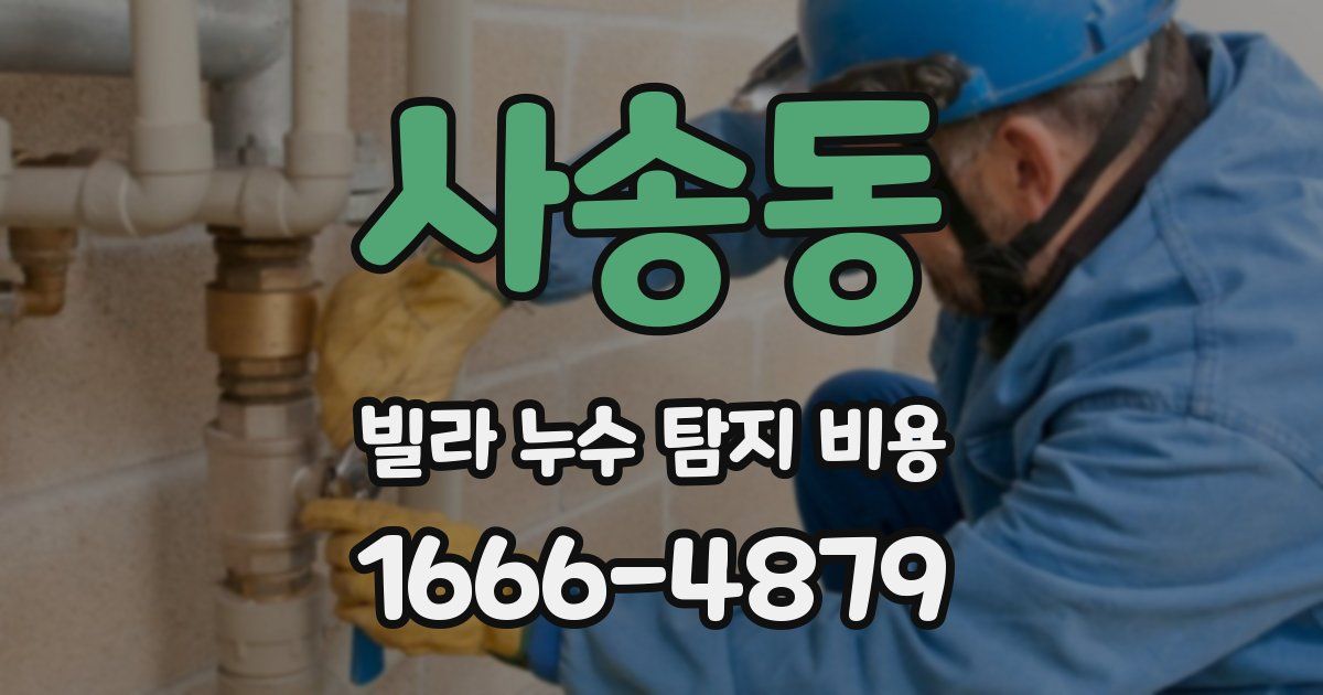 사송동 빌라 누수 탐지 비용