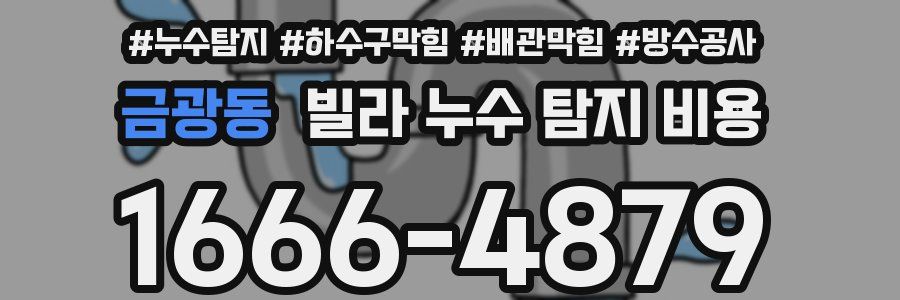 금광동 빌라 누수 탐지 비용