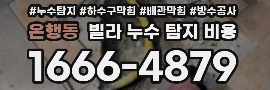 은행동 빌라 누수 탐지 비용