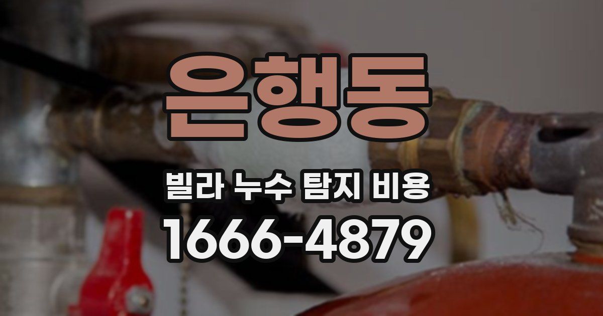 은행동 빌라 누수 탐지 비용