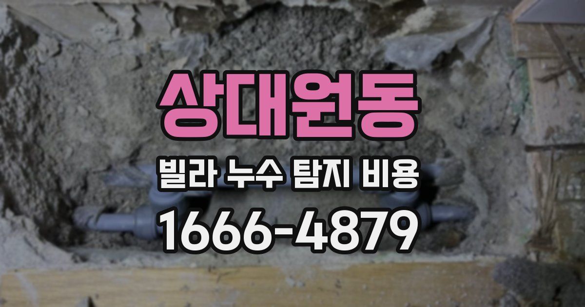 상대원동 빌라 누수 탐지 비용