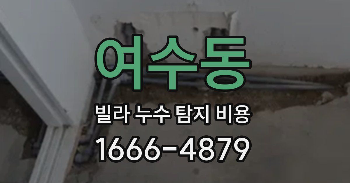 여수동 빌라 누수 탐지 비용