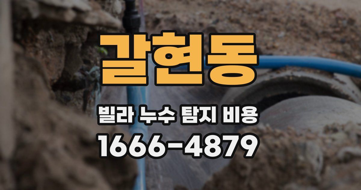 갈현동 빌라 누수 탐지 비용