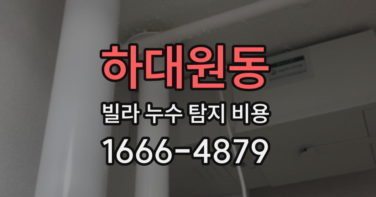 하대원동 빌라 누수 탐지 비용