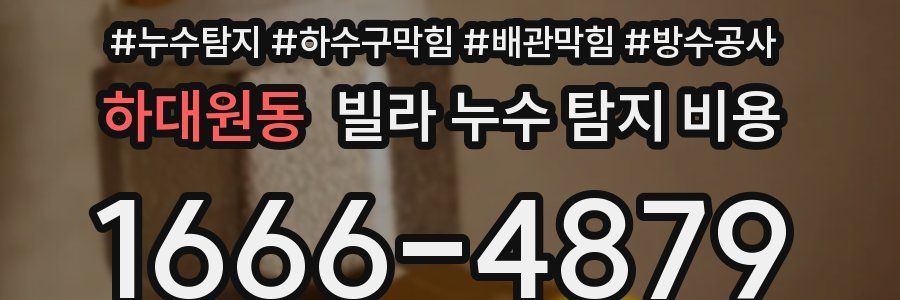 하대원동 빌라 누수 탐지 비용