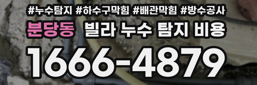 분당동 빌라 누수 탐지 비용