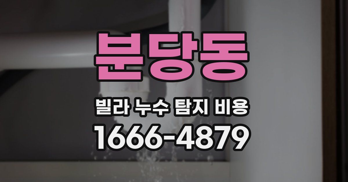 분당동 빌라 누수 탐지 비용