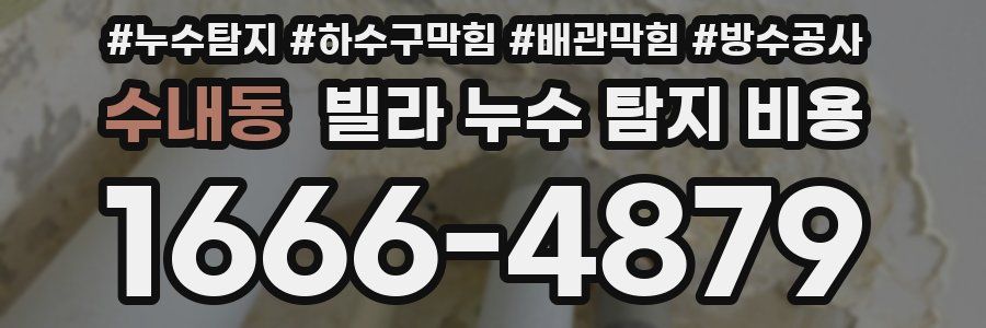 수내동 빌라 누수 탐지 비용