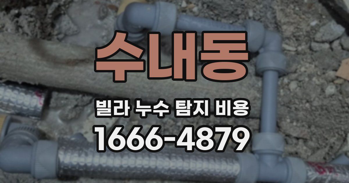 수내동 빌라 누수 탐지 비용