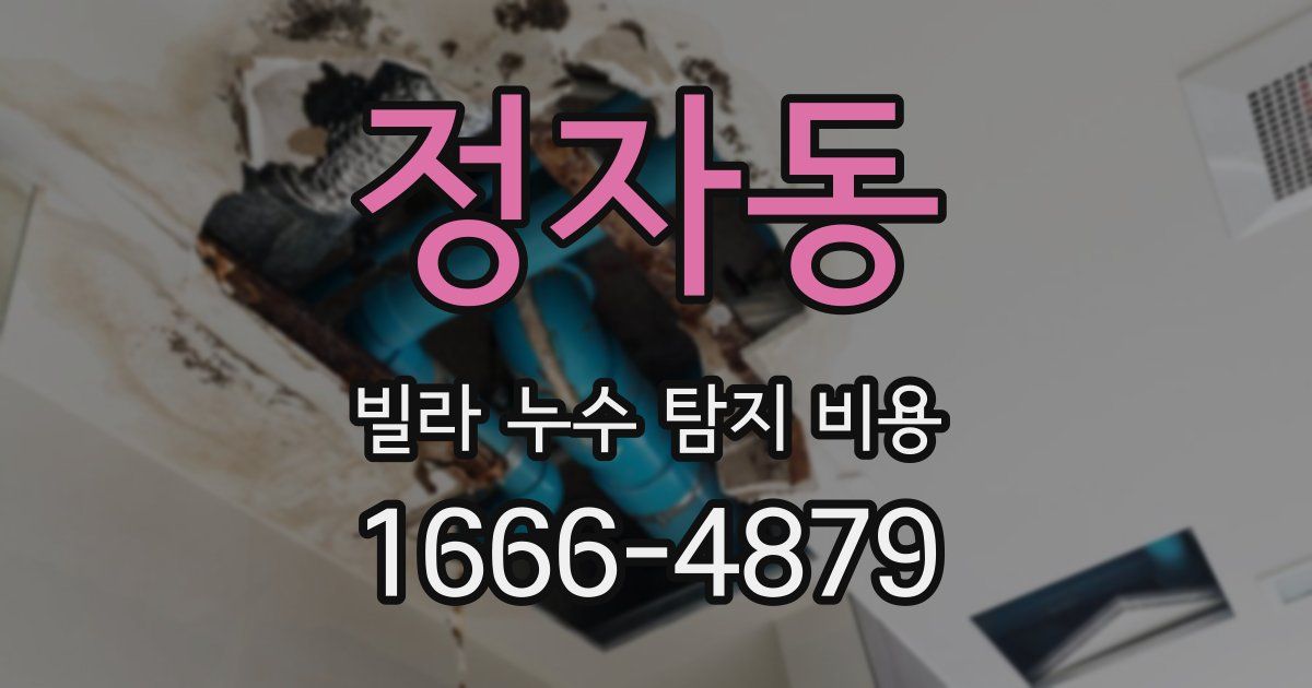 정자동 빌라 누수 탐지 비용