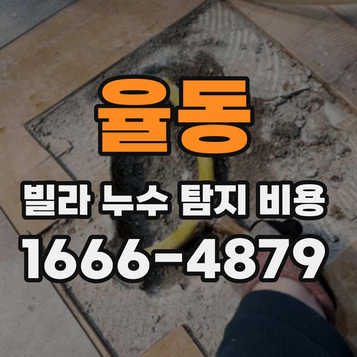 율동 빌라 누수 탐지 비용