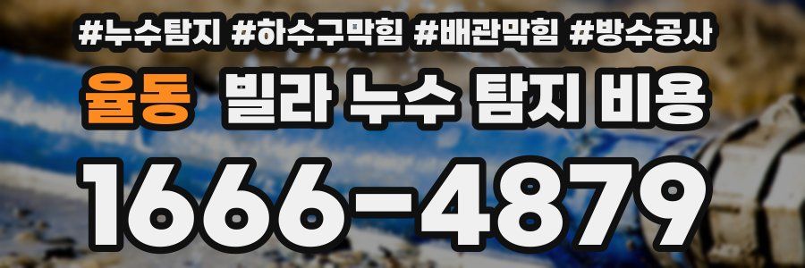 율동 빌라 누수 탐지 비용