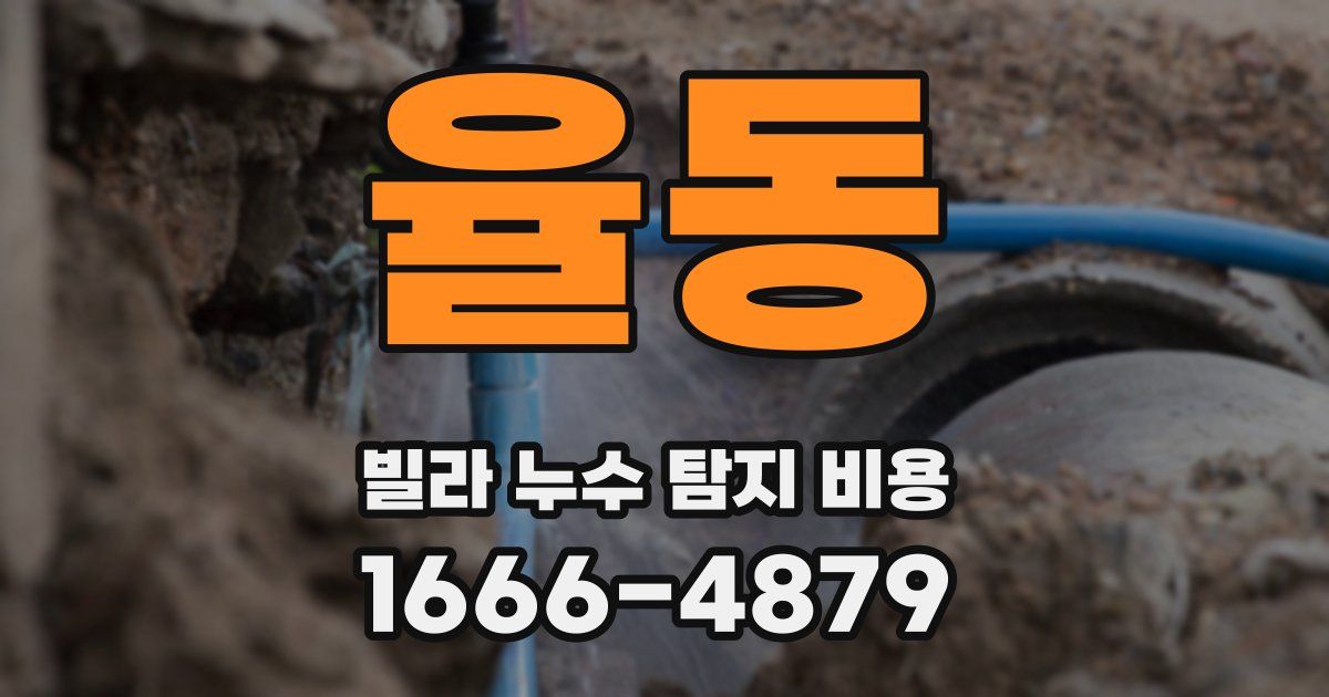 율동 빌라 누수 탐지 비용