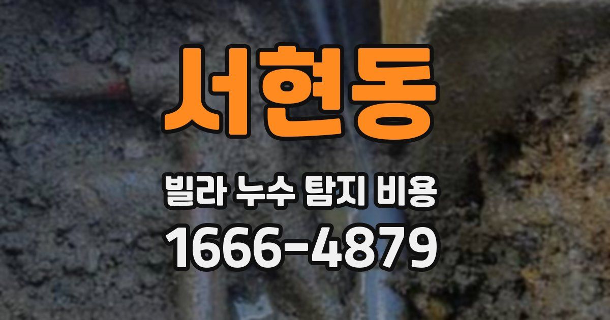 서현동 빌라 누수 탐지 비용