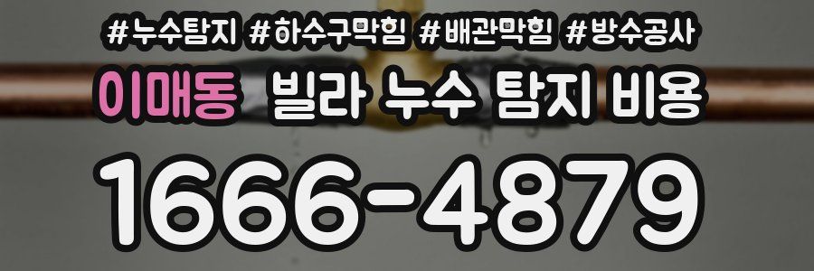 이매동 빌라 누수 탐지 비용