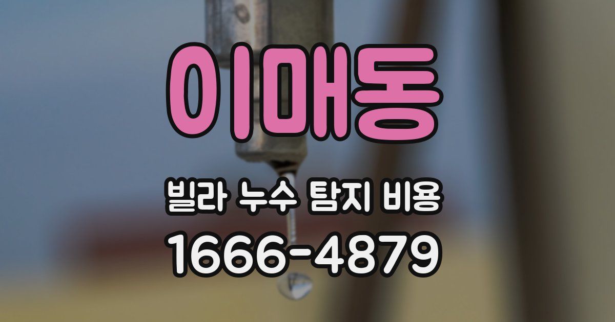 이매동 빌라 누수 탐지 비용