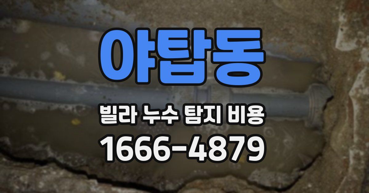 야탑동 빌라 누수 탐지 비용