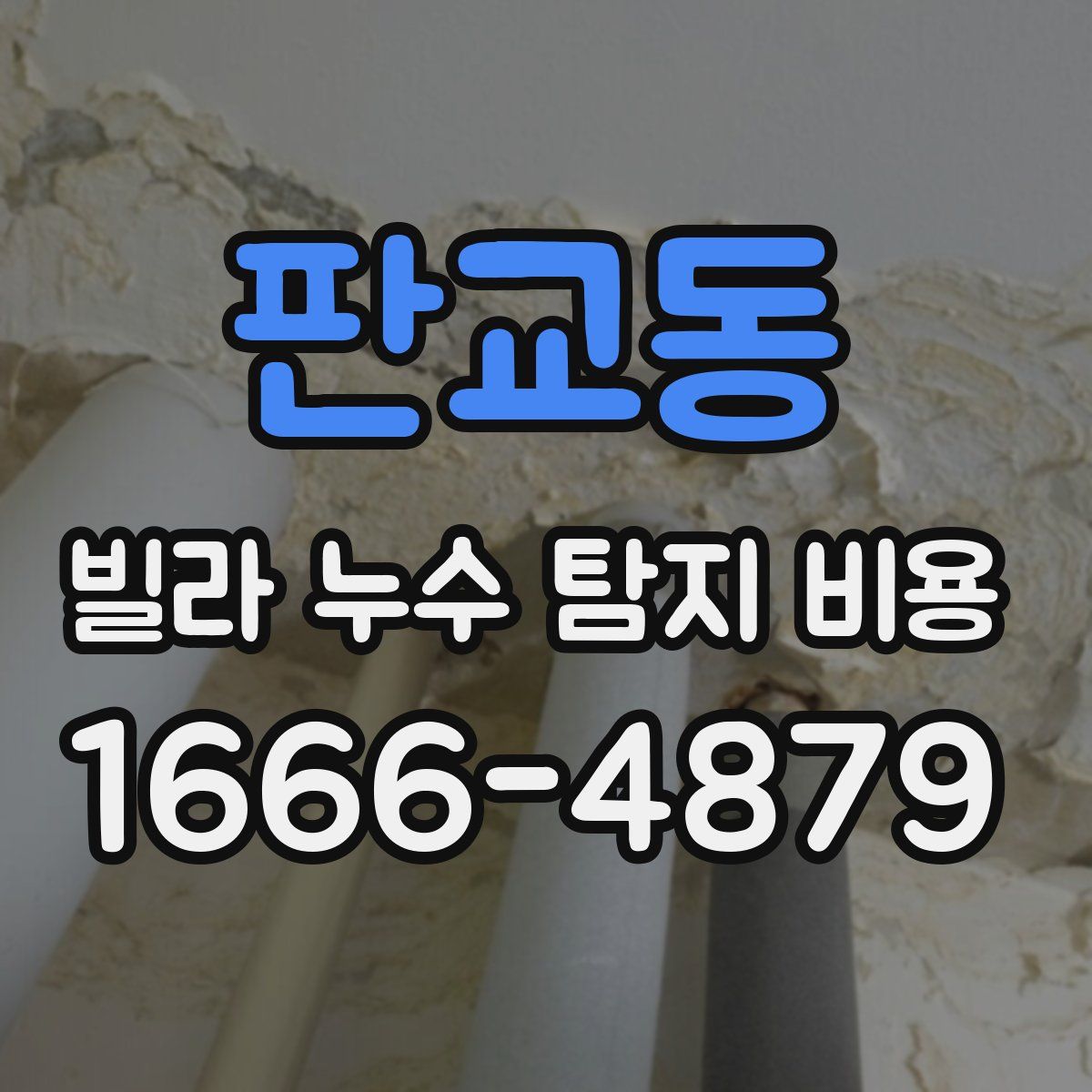 판교동 빌라 누수 탐지 비용