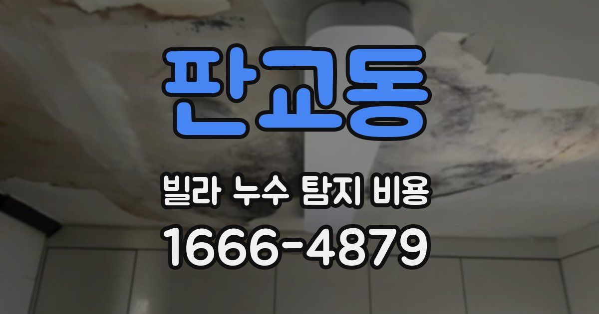 판교동 빌라 누수 탐지 비용