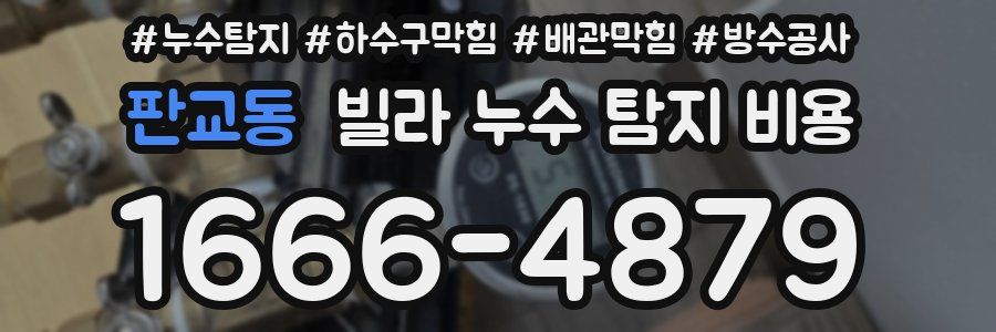 판교동 빌라 누수 탐지 비용