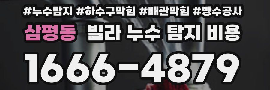 삼평동 빌라 누수 탐지 비용