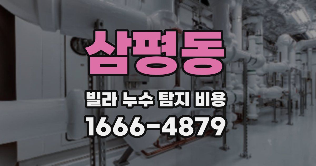 삼평동 빌라 누수 탐지 비용