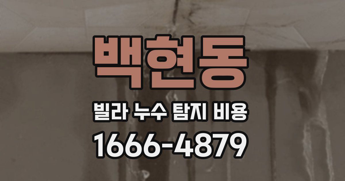 백현동 빌라 누수 탐지 비용