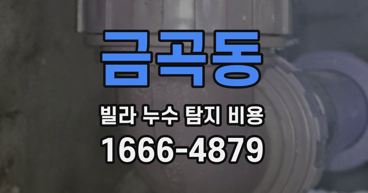 금곡동 빌라 누수 탐지 비용