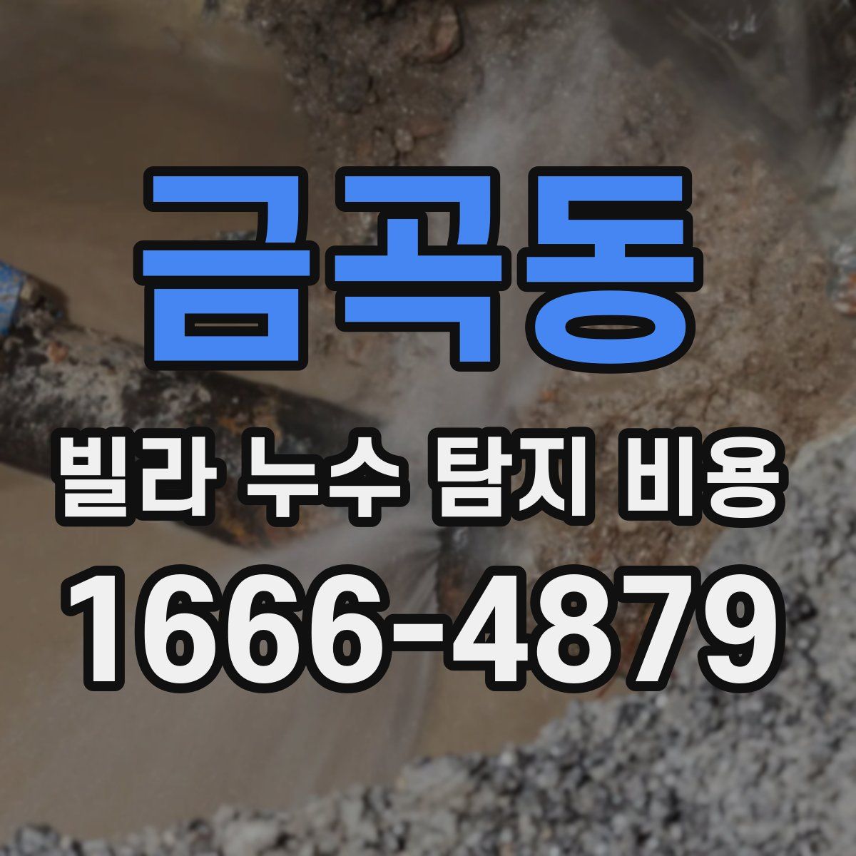 금곡동 빌라 누수 탐지 비용