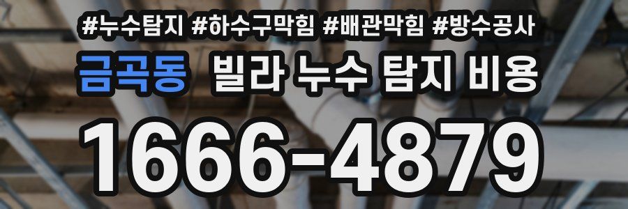 금곡동 빌라 누수 탐지 비용