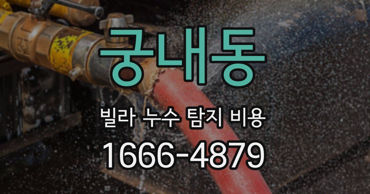 궁내동 빌라 누수 탐지 비용