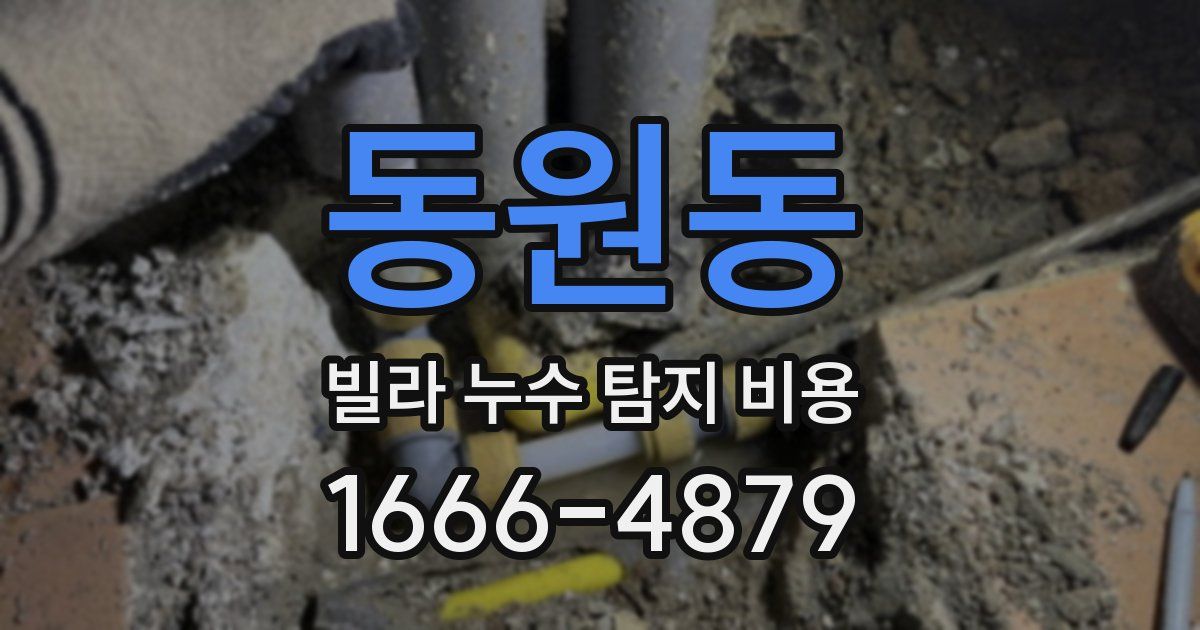 동원동 빌라 누수 탐지 비용
