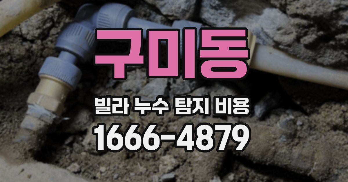구미동 빌라 누수 탐지 비용