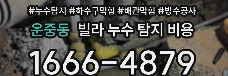 운중동 빌라 누수 탐지 비용