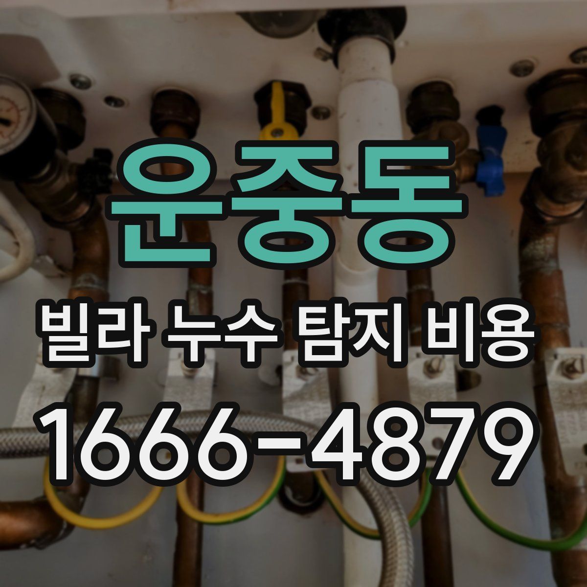 운중동 빌라 누수 탐지 비용