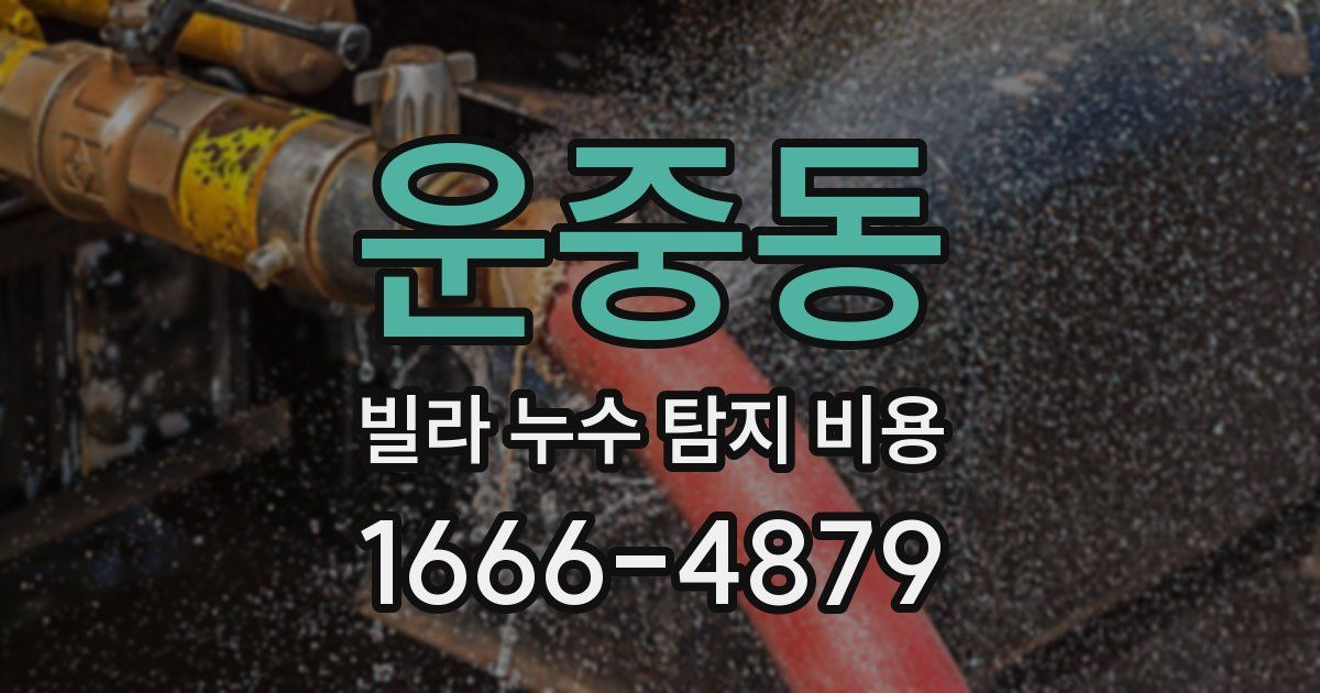 운중동 빌라 누수 탐지 비용