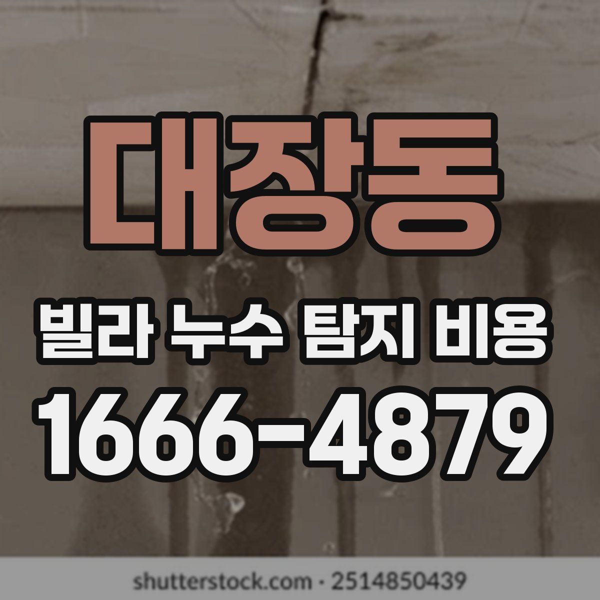 대장동 빌라 누수 탐지 비용