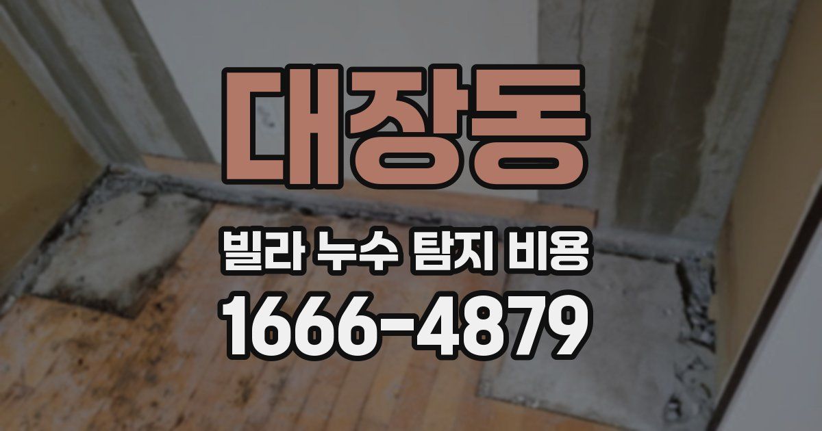 대장동 빌라 누수 탐지 비용