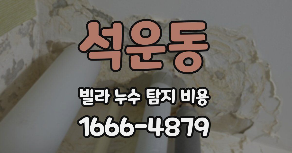 석운동 빌라 누수 탐지 비용