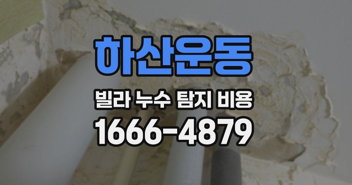 하산운동 빌라 누수 탐지 비용