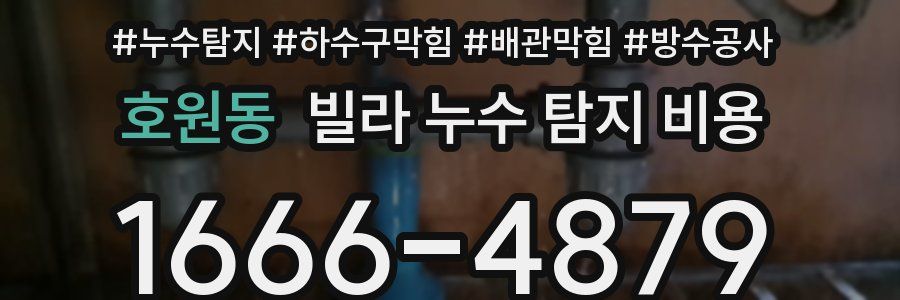 호원동 빌라 누수 탐지 비용