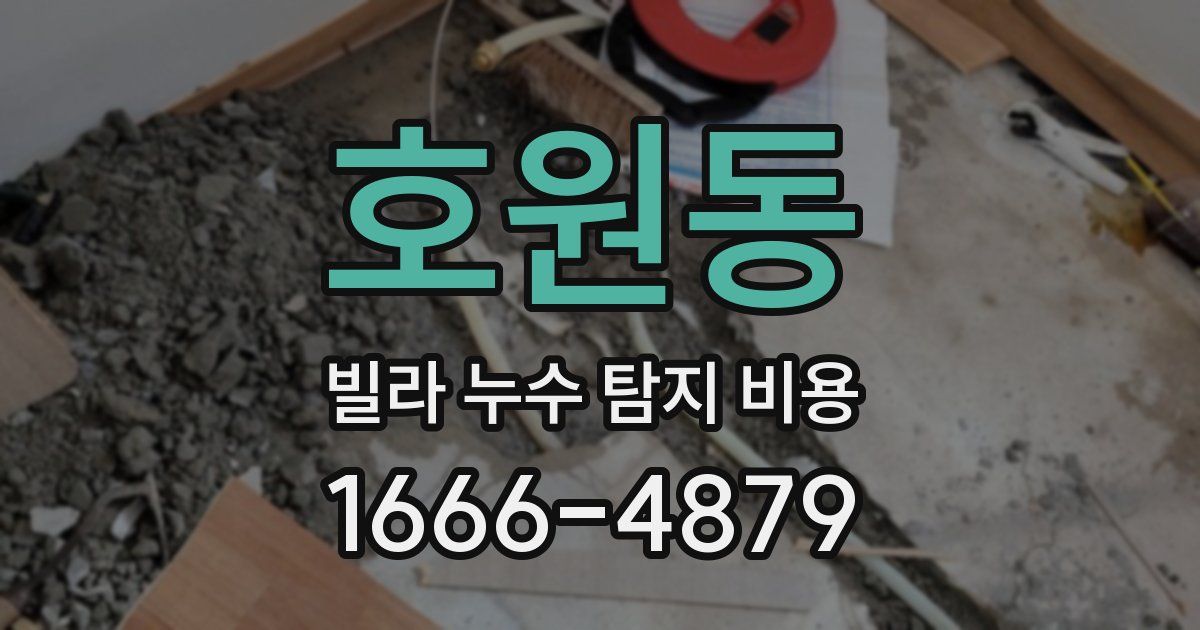 호원동 빌라 누수 탐지 비용