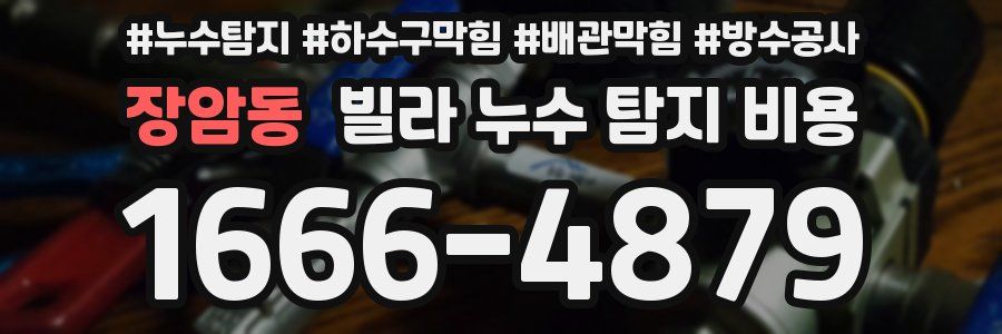 장암동 빌라 누수 탐지 비용