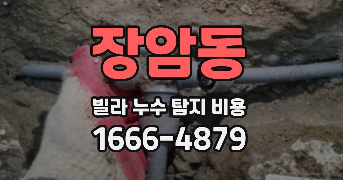 장암동 빌라 누수 탐지 비용
