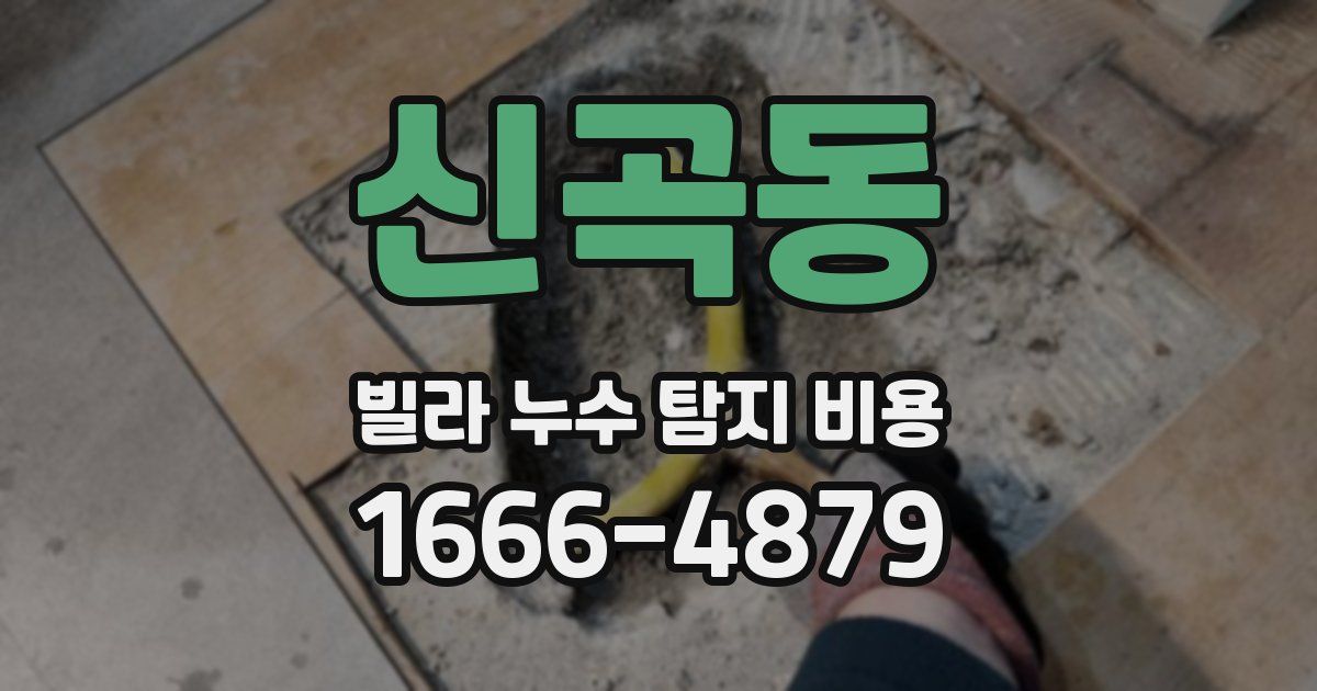 신곡동 빌라 누수 탐지 비용