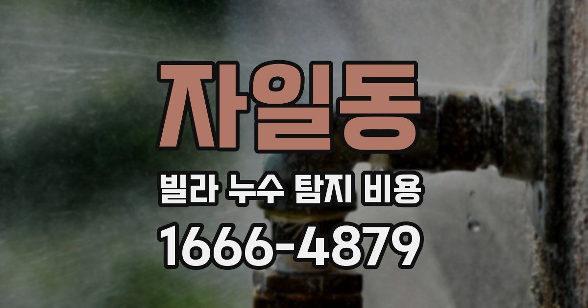 자일동 빌라 누수 탐지 비용