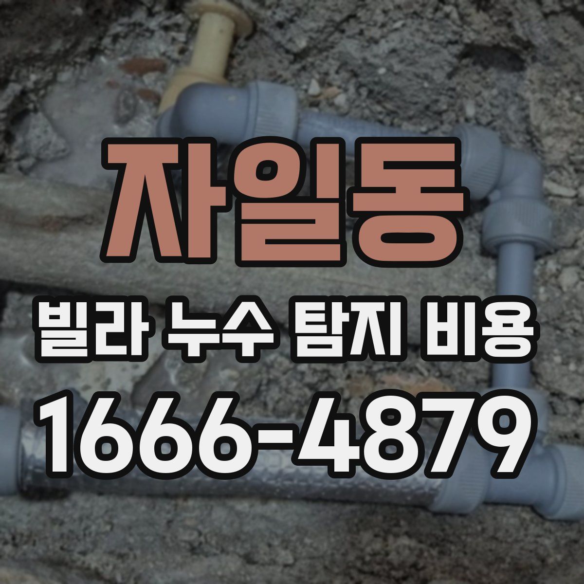 자일동 빌라 누수 탐지 비용