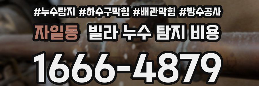 자일동 빌라 누수 탐지 비용