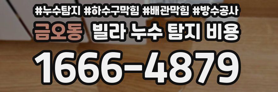 금오동 빌라 누수 탐지 비용